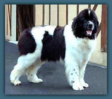 photo 2 regliss´mint