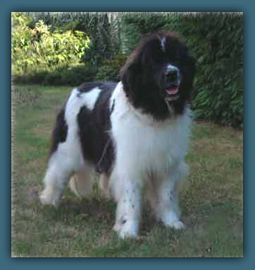 photo 3 regliss´mint