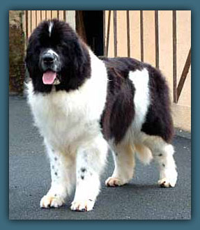 photo 4 regliss´mint