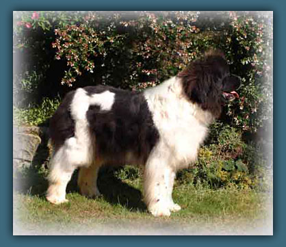 photo 5 regliss´mint